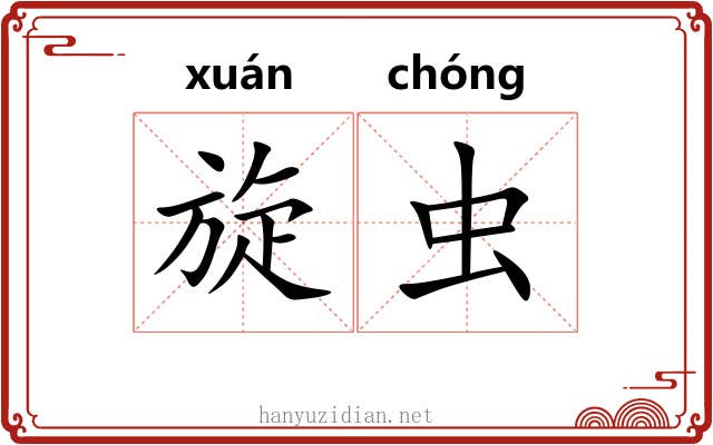 旋虫