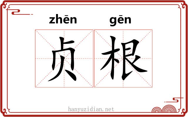 贞根 贞根