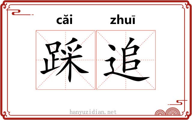踩追