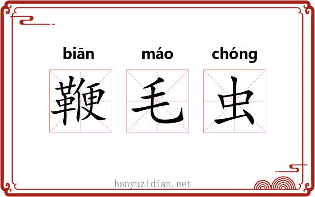 鞭毛虫 鞭毛虫