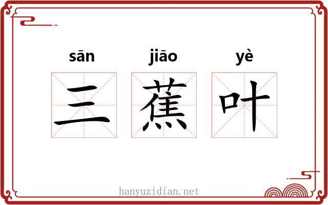 三蕉叶 三蕉叶