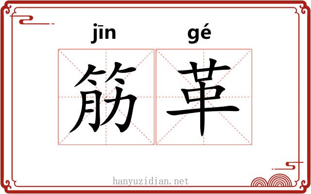 筋革