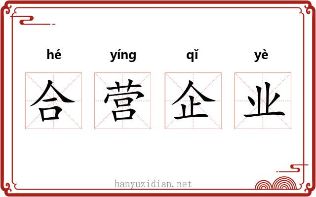 合营企业 合营企业