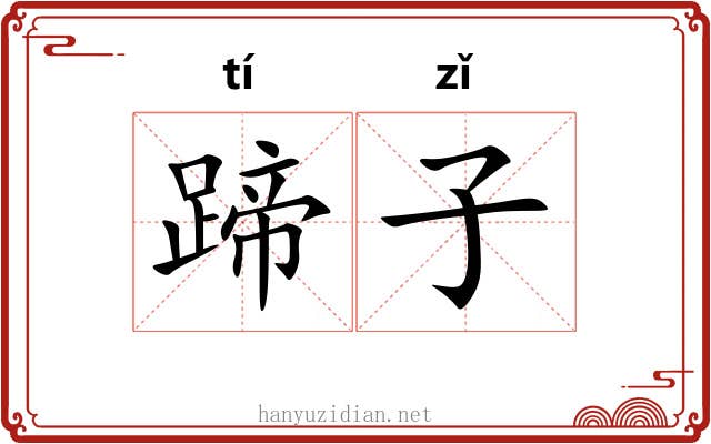蹄子 蹄子