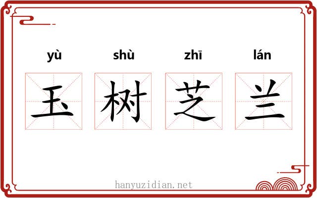 玉树芝兰 玉树芝兰
