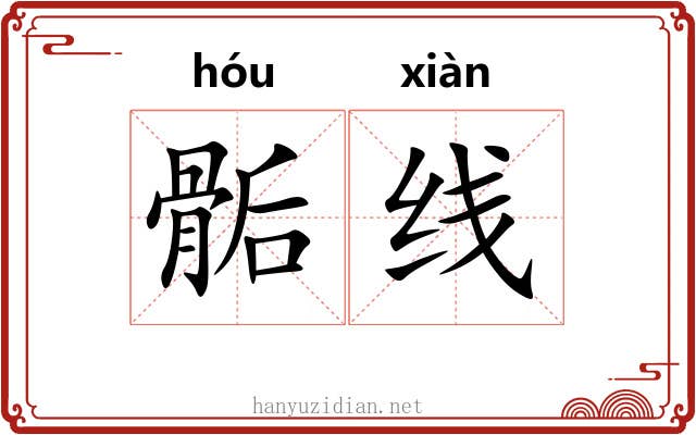 骺线