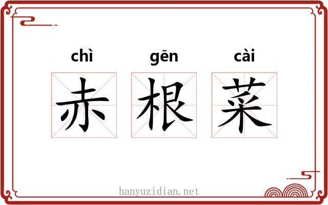 赤根菜