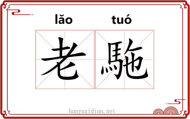 老駞 老駞