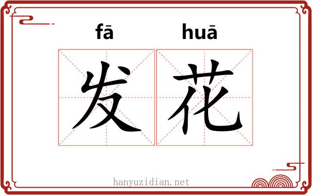 发花 发花
