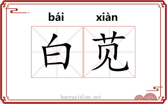 白苋 白苋