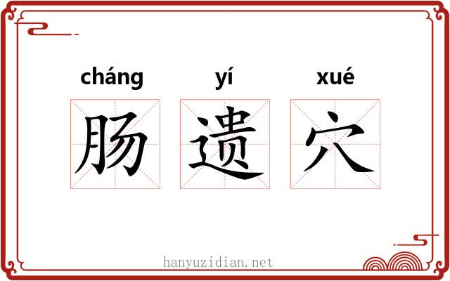 肠遗穴 肠遗穴