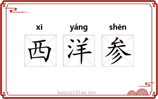 西洋参 西洋参