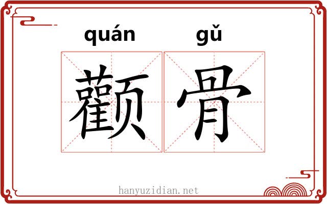 颧骨 颧骨