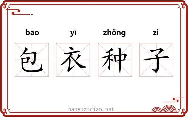 包衣种子 包衣种子