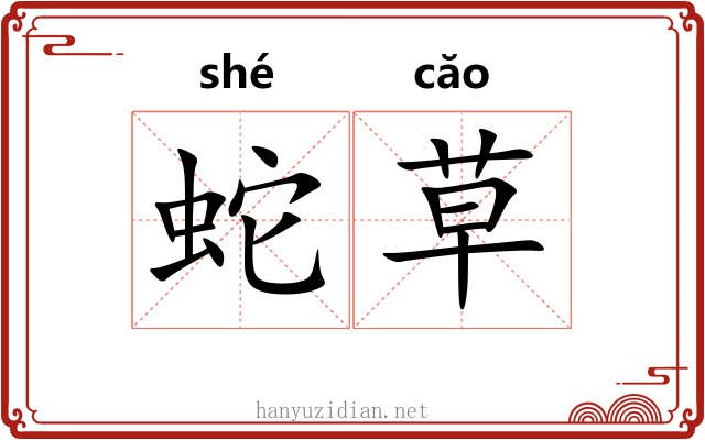 蛇草 蛇草
