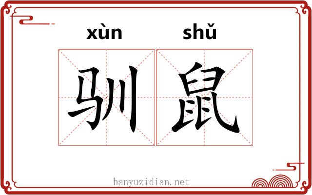 驯鼠