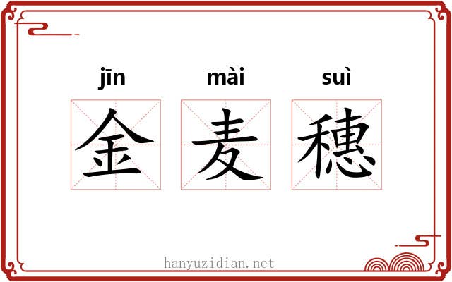 金麦穗 金麦穗