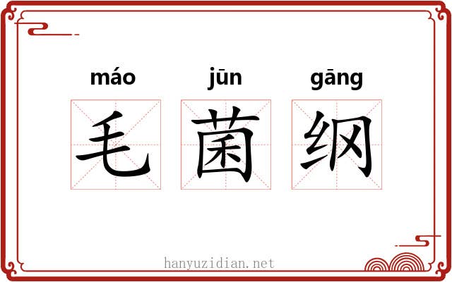 毛菌纲 毛菌纲