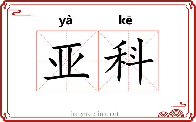 亚科 亚科