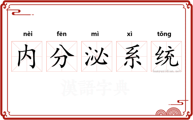 内分泌系统