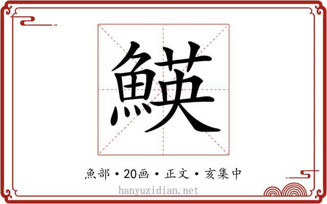 𩹅