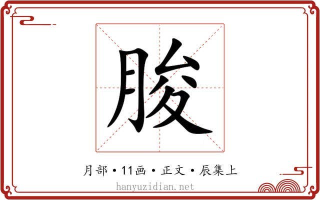 朘