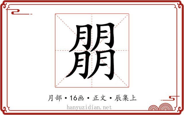 朤