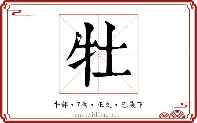 牡