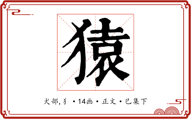 猿