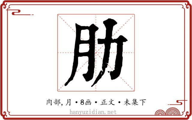 肋