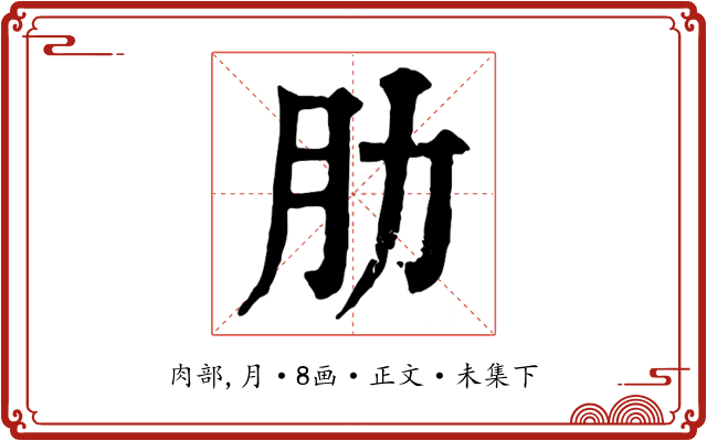 肋