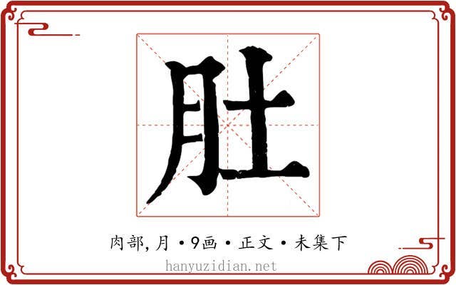 肚