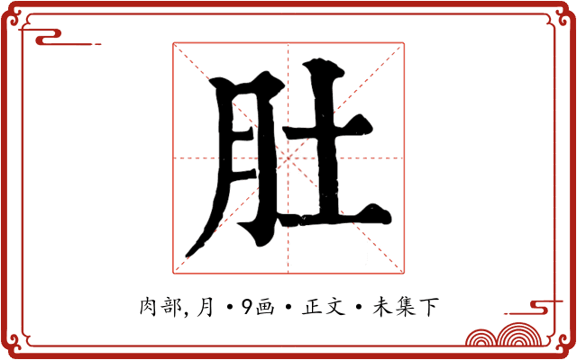 肚