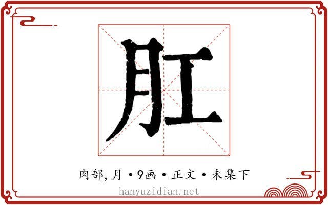 肛