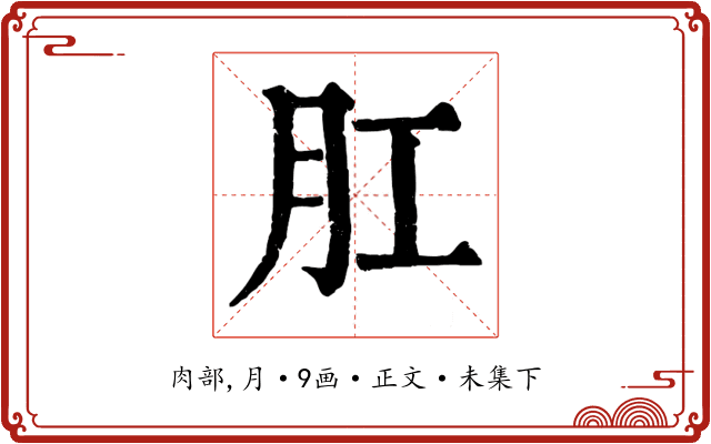 肛