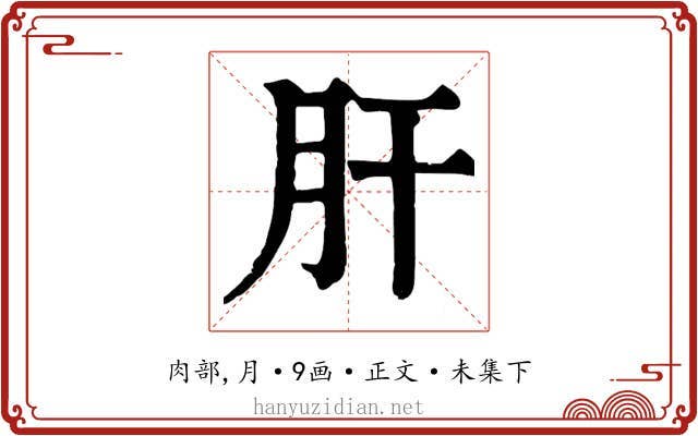 肝