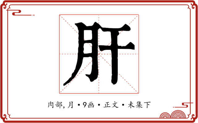 肝