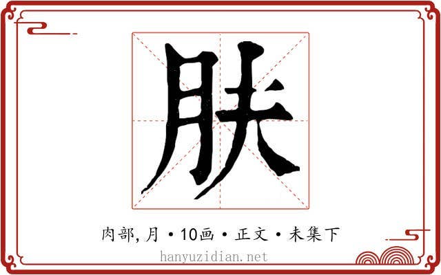 肤