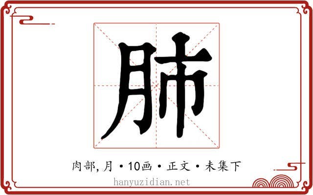 肺
