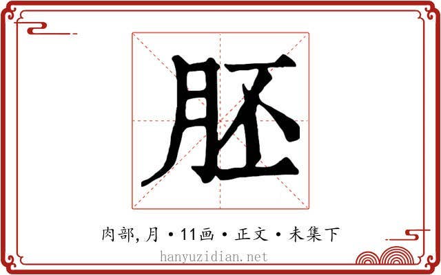 胚