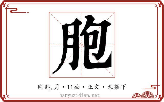 胞