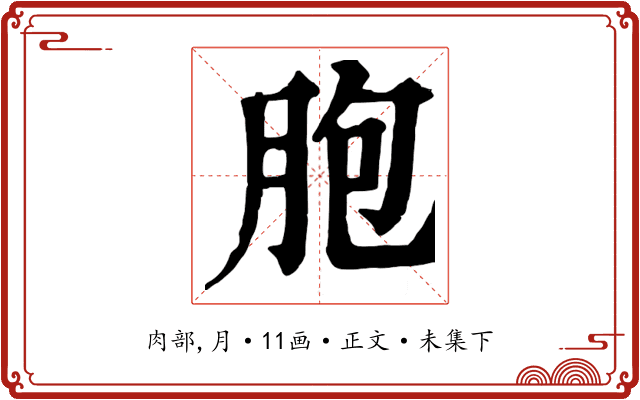 胞