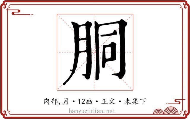 胴