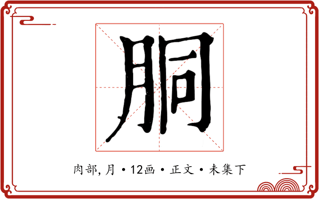 胴