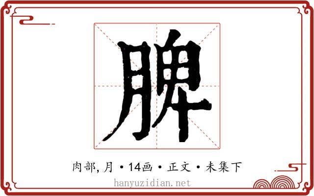 脾