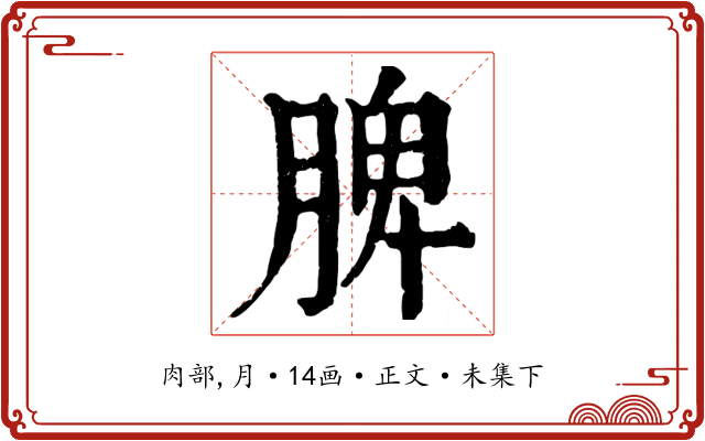脾