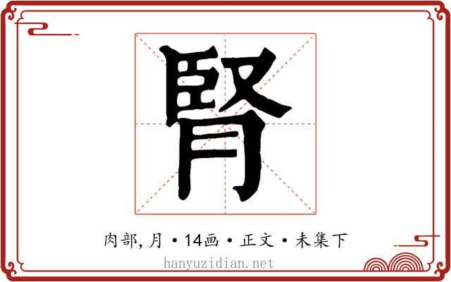 腎
