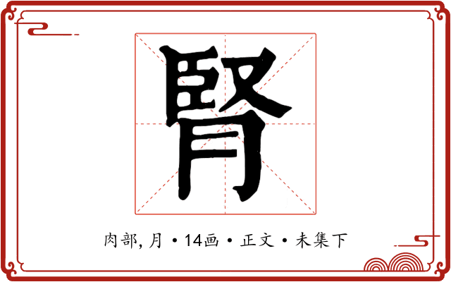 腎