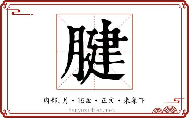腱