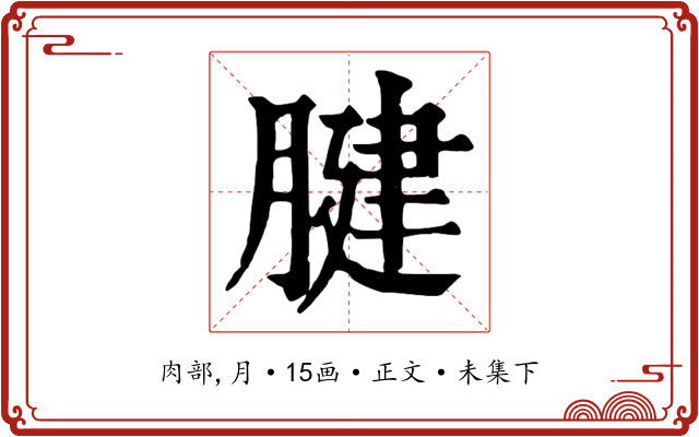 腱